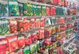 Семена Оптом и в Розницу.