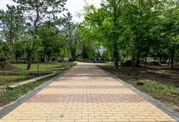 Цены на тротуарную плитку в Тирасполе и Бендерах (ПМР)