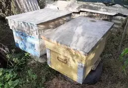 Продам ульи лежаки