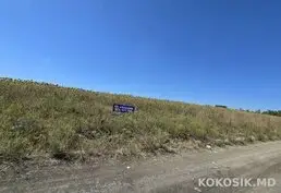 Teren agricol de 24 ari de vânzare în Ghidighici 🌳