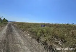 Teren agricol de 24 ari de vânzare în Ghidighici 🌳
