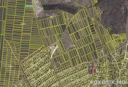 Teren agricol de 24 ari de vânzare în Ghidighici 🌳
