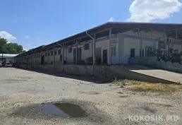 Depozite de producere și păstrare de închiriat în Vatra 🏭