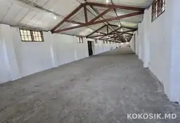 Depozite de producere și păstrare de închiriat în Vatra 🏭