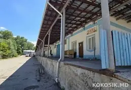 Depozite de producere și păstrare de închiriat în Vatra 🏭