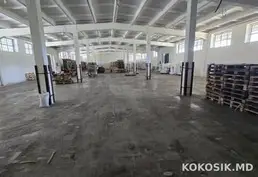 Depozite de producere și păstrare de închiriat în Vatra 🏭 - 6
