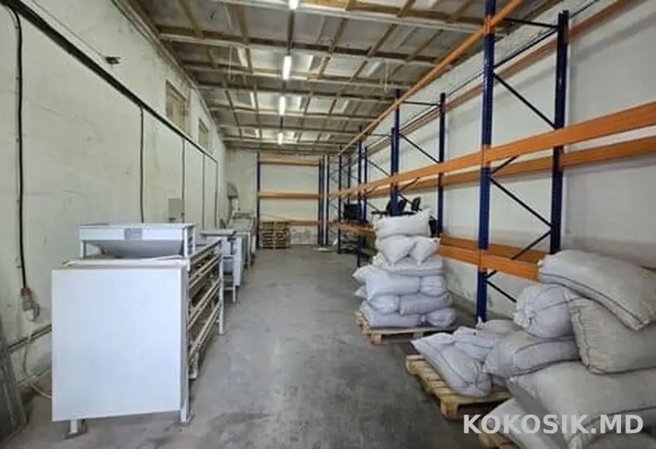 Depozite de producere și păstrare de închiriat în Vatra 🏭 - 7/15
