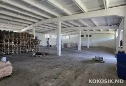 Depozite de producere și păstrare de închiriat în Vatra 🏭 - 8