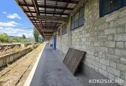 Depozite de producere și păstrare de închiriat în Vatra 🏭 - 9