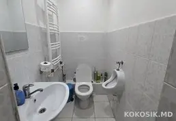 Depozite de producere și păstrare de închiriat în Vatra 🏭 - 12