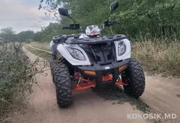 Квадроцикл Kayo-300 (2024 г.) 🏍️