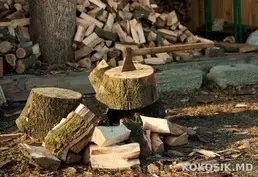 Продам колотые дрова (Клен, Вяз) с доставкой на дом (Тирасполь)