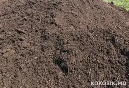 Чернозём в мешках оптом и в розницу с быстрой доставкой