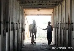 Требуется Конюх в конноспортивный клуб «Спарта» (с. Будешть)