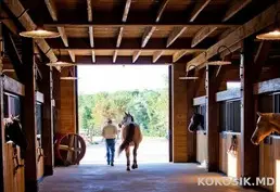 Требуется Конюх в конноспортивный клуб «Спарта» (с. Будешть)