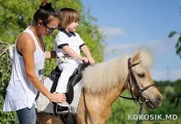 Фотосессии и Катание на Лошадях и Пони