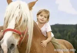 Фотосессии и Катание на Лошадях и Пони