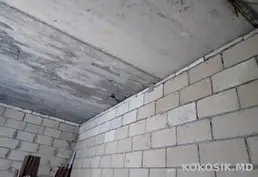 Сдам склад 17 кв. м (Комсомольская, 28) Тирасполь - 9