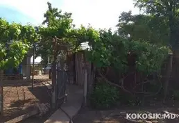 Продам дом в Слободзейском районе