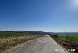 Vând Teren Agricol 110 ari (1.1 ha) cu acces la drum asfaltat — Tohatin