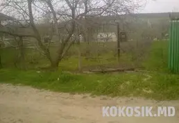 🌳 Lot în s. Chetrosu (6 ari)