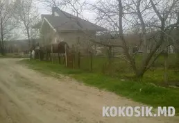 🌳 Lot în s. Chetrosu (6 ari)