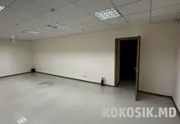 💼 Аренда полуподвала с ремонтом (176 м²)