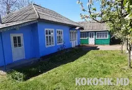 🏡 Vând 2 Case pe un Teren de 45 ari (Valea Mare)