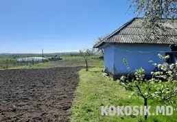 🏡 Vând 2 Case pe un Teren de 45 ari (Valea Mare)