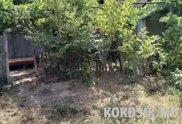 Продам котельцовый дом в селе Койково, Дубоссарский район
