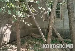 Продам котельцовый дом в селе Койково, Дубоссарский район