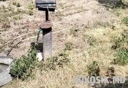 Продам котельцовый дом в селе Койково, Дубоссарский район