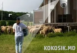 Уличная WiFi камера безопасности