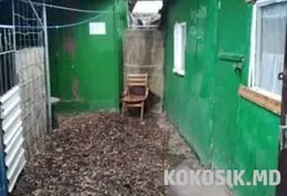 Домик на Днестровском лимане. База "Нептун", Днестровск