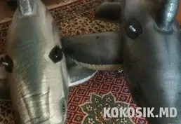 Продам надувные игрушки для плавания и отдыха