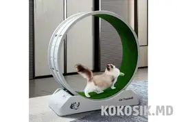 Продам Колесо-когтеточку для кошек