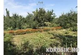 Участки в ПК СОТ "Сад Ветеранов" (Одесская трасса). 6 соток. 2600 руб.
