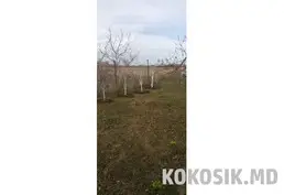 Продам дачный участок (Западный, 6 соток)