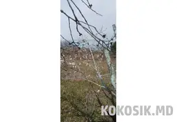 Продам дачный участок (Западный, 6 соток)