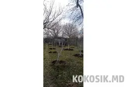 Продам дачный участок (Западный, 6 соток)