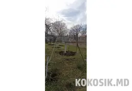Продам дачный участок (Западный, 6 соток)