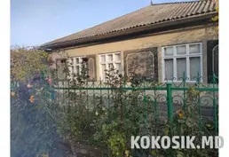 Дом в Центре Новых Анен