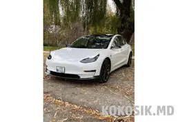 Продам Tesla Model 3 Performance 2019 (AWD, 510 л. с.)