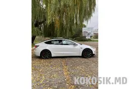 Продам Tesla Model 3 Performance 2019 (AWD, 510 л. с.)