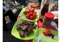 Аренда базы для шашлыков (закрытая территория в лесу)