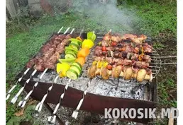 Аренда базы для шашлыков (закрытая территория в лесу)