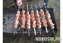 Аренда базы для шашлыков (закрытая территория в лесу)