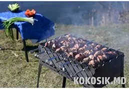 Аренда базы для шашлыков (закрытая территория в лесу)