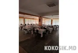 Аренда банкетных и конференц-залов (до 500 чел.)