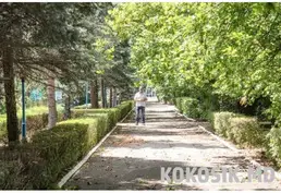 Аренда зала для поминальных обедов
